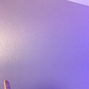 Meet your Posher, Gracie